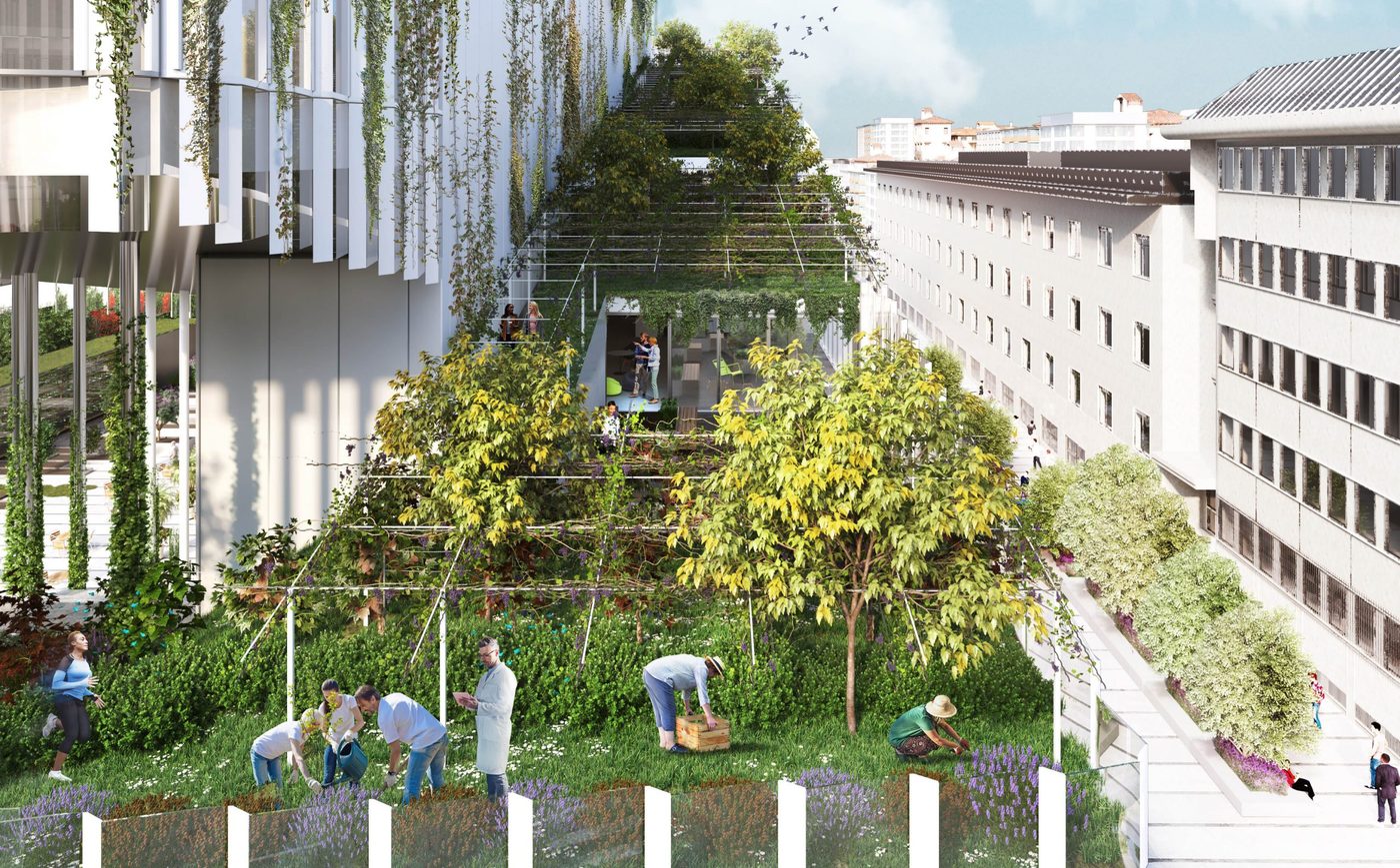 VITAE: an office building wrapped in an urban vineyard